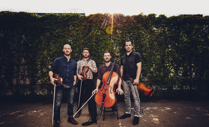 The Fretless The Fretless