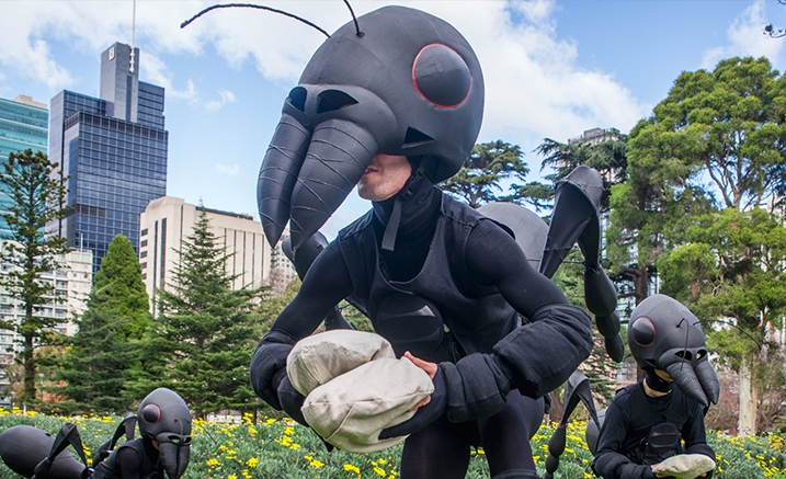 Ants.jpg Ants.jpg