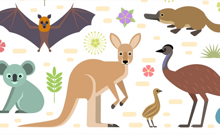 Carnival of the Animals.jpg Carnival of the Animals.jpg